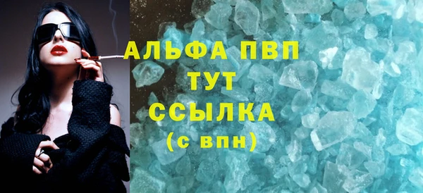 СК Коряжма