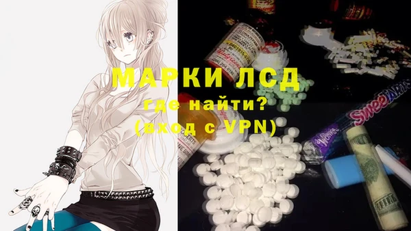 СК Коряжма
