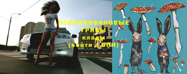 СК Коряжма