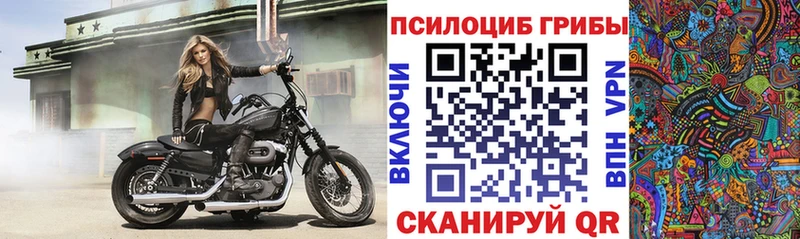 Галлюциногенные грибы ЛСД  Купить где  Тайшет 